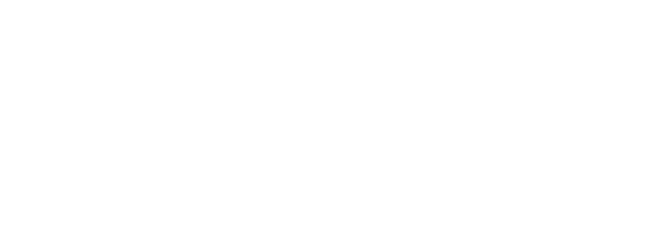 logo_nethesis_partner_biaco